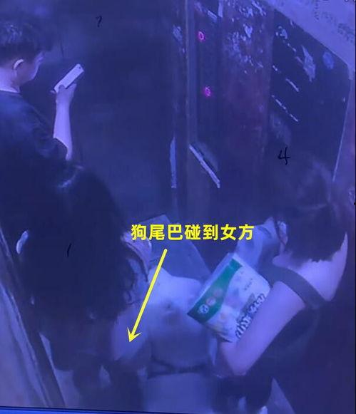 情侣最新事件爆料视频,揭秘幕后真相，视频爆料引发热议